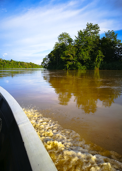 kinabatangan