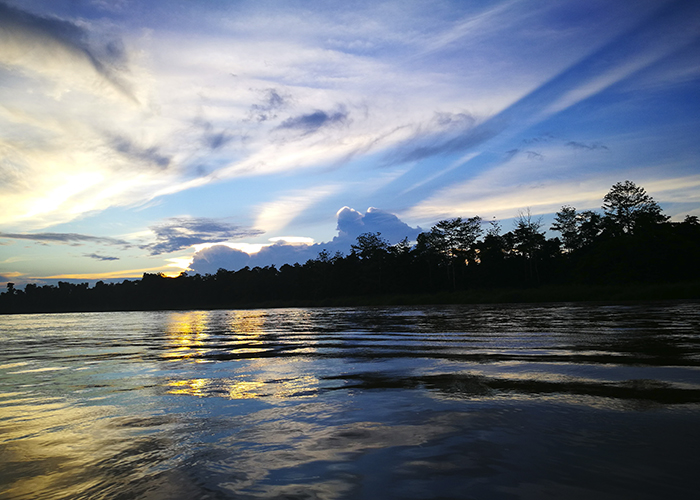 kinabatangan