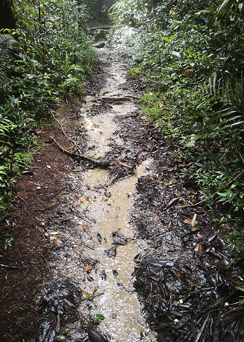 kinabalu