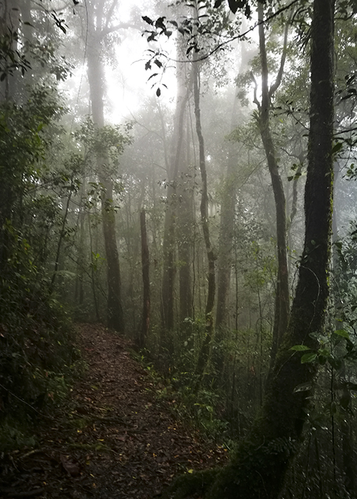 kinabalu