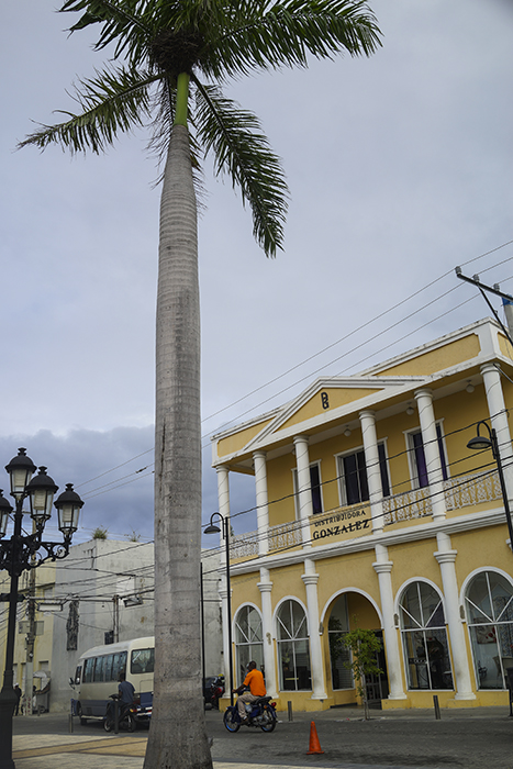 Dominikaaninen tasavalta