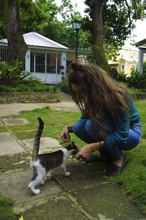 Dominikaaninen tasavalta