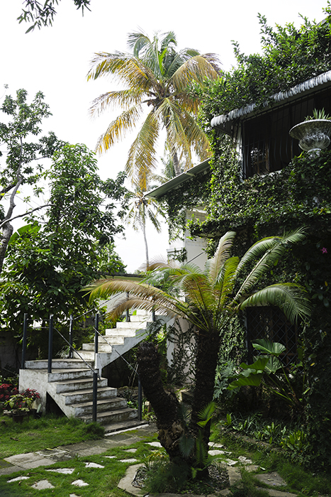 Dominikaaninen tasavalta