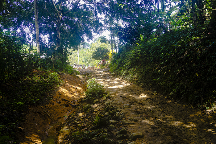 El Limónen vesiputous