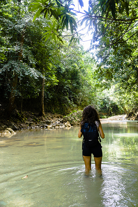 El Limónen vesiputous