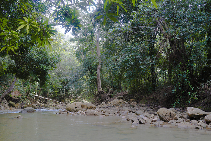 El Limónen vesiputous