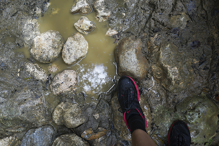 El Limónen vesiputous