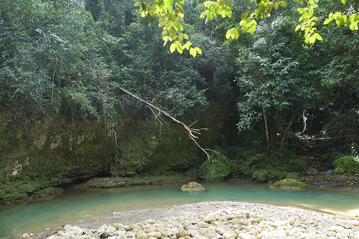 El Limónen vesiputous