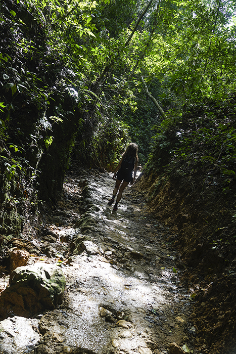 El Limónen vesiputous