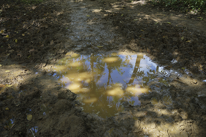El Limónen vesiputous