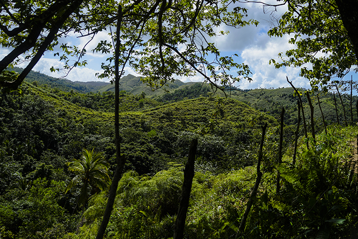 El Limónen vesiputous