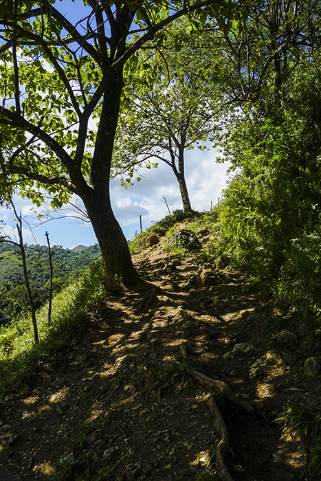 El Limónen vesiputous