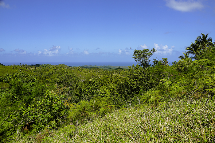 El Limónen vesiputous