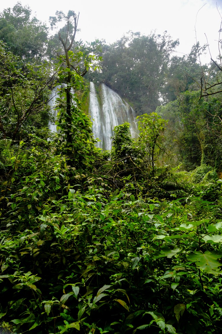 El Limónen vesiputous