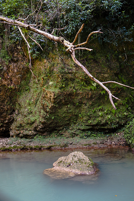 El Limónen vesiputous