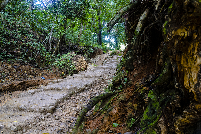 El Limónen vesiputous