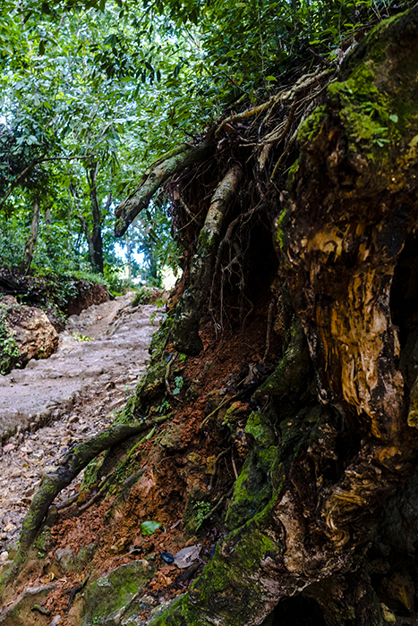 El Limónen vesiputous