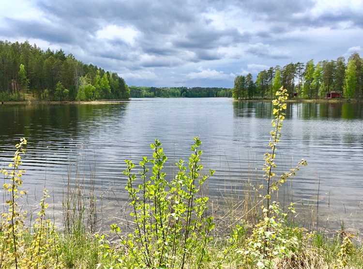 Saimaa