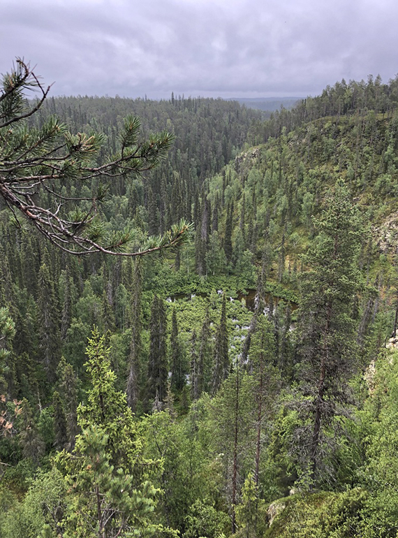 Oulangan kansallispuisto
